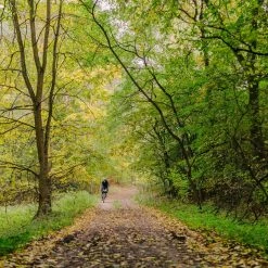 Standertshop Bikes Erdgeschoss Stainless | Rawkim | Complete Bike 34 Standertshop Bikes Erdgeschoss Stainless | Rawkim | Complete Bike