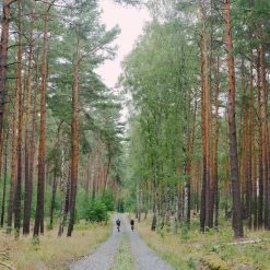 Standertshop Pfadfinder | Frameset | Candy Drip