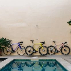 Standertshop Road Kreissäge Disc | Frameset | Leadout Lemon