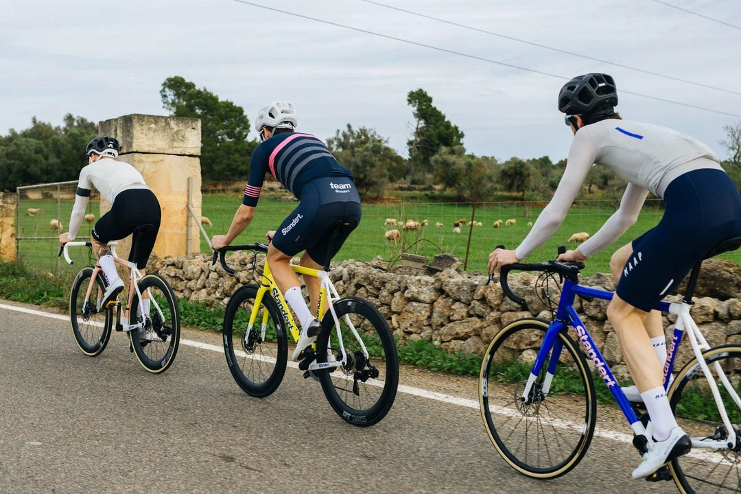 Standertshop Kreissäge Rim | Frameset | Leadout Lemon 5 Standertshop Kreissäge Rim | Frameset | Leadout Lemon