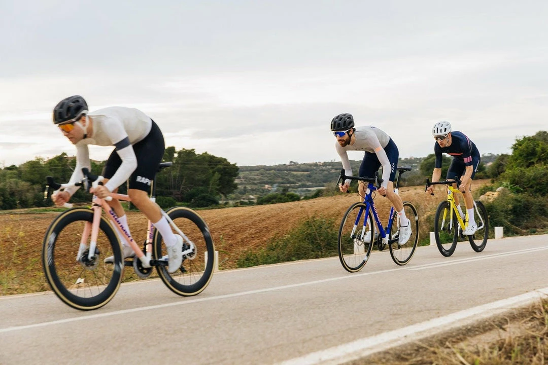 Standertshop Kreissäge Rim | Frameset | Leadout Lemon 8 Standertshop Kreissäge Rim | Frameset | Leadout Lemon