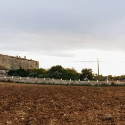 Standertshop Road Kreissäge Rim | Frameset | Paceline Peach