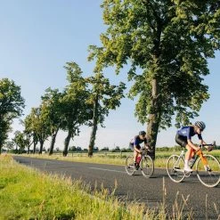 Standertshop Kreissäge RS Disc | Frameset | Fluo Forest Archive 24 Standertshop Kreissäge RS Disc | Frameset | Fluo Forest Archive