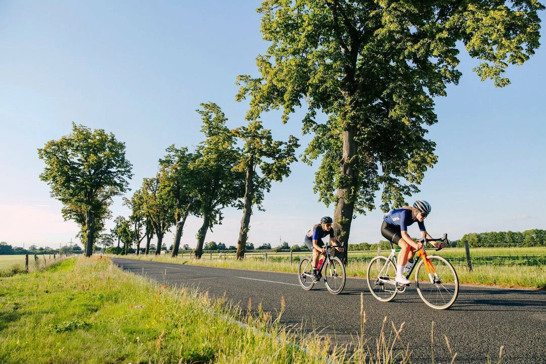 Standertshop Kreissäge RS Disc | Frameset | Fluo Forest Archive 9 Standertshop Kreissäge RS Disc | Frameset | Fluo Forest Archive