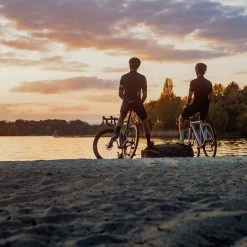 Standertshop Stichsäge | Leaping Lilac | Complete Bike