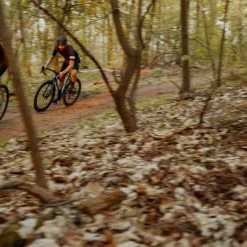 Standertshop Stichsäge | Leaping Lilac | Complete Bike