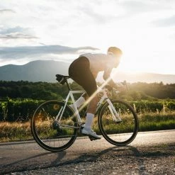 Standertshop Triebwerk CR | Complete Bike | Salt