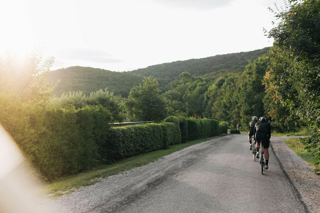 Standertshop Archive Triebwerk DISC | Frameset | Dark Night