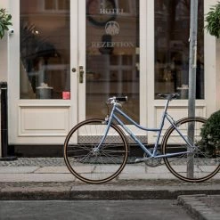 Standertshop Frau Standert SSFW18 | Frameset | Sky Blue Metallic